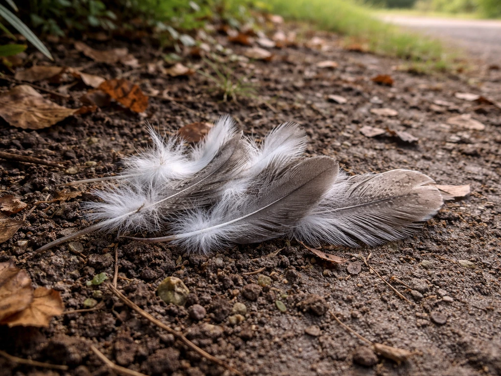 Can You Collect Bird Feathers? What’s Legal and OK